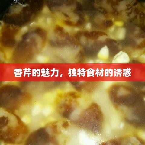香芹的魅力，独特食材的诱惑