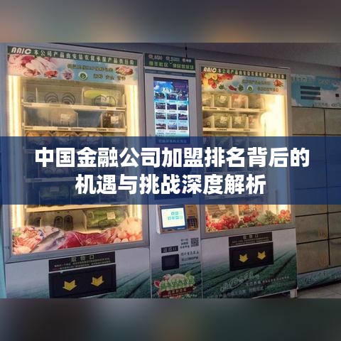 中国金融公司加盟排名背后的机遇与挑战深度解析