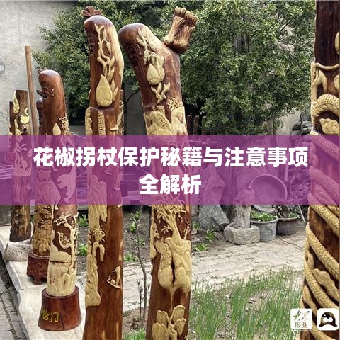 花椒拐杖保护秘籍与注意事项全解析