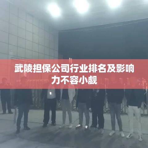 武陵担保公司行业排名及影响力不容小觑