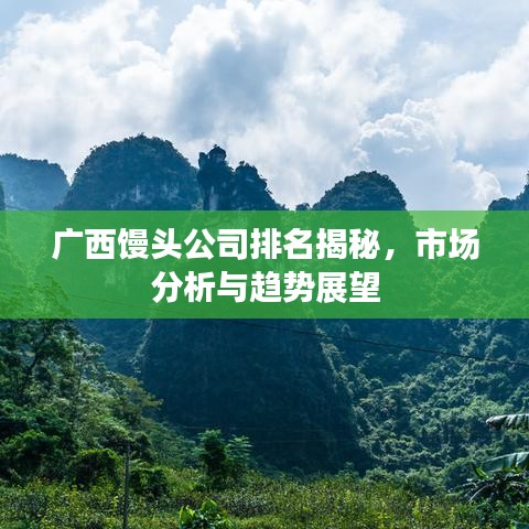 广西馒头公司排名揭秘，市场分析与趋势展望