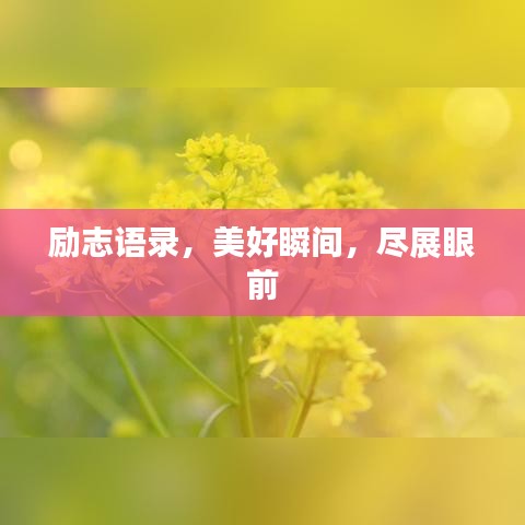 励志语录，美好瞬间，尽展眼前