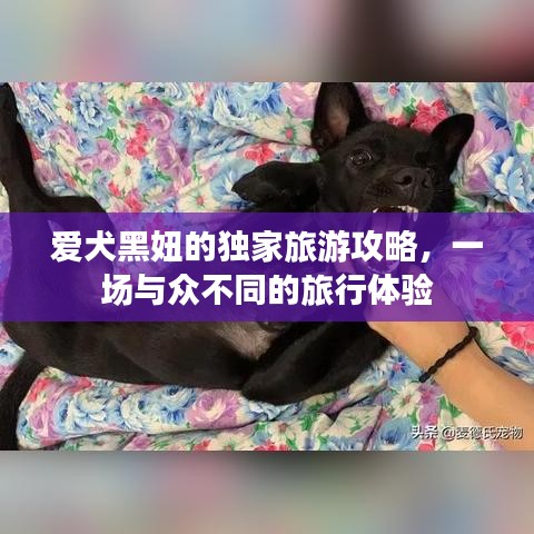 爱犬黑妞的独家旅游攻略，一场与众不同的旅行体验