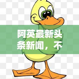 阿英最新头条新闻，不容错过！