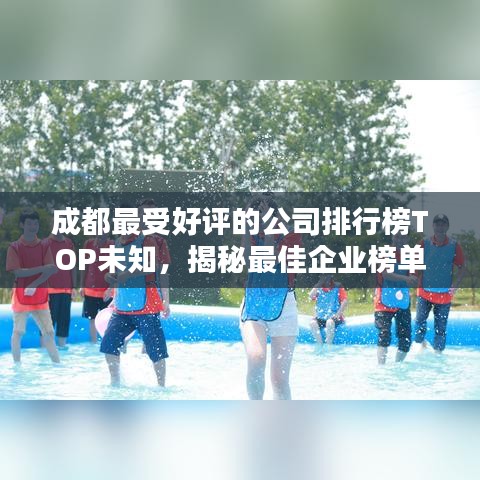 成都最受好评的公司排行榜TOP未知，揭秘最佳企业榜单！