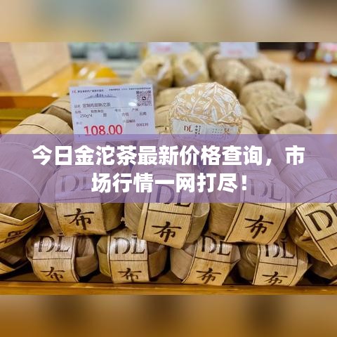 林下风范