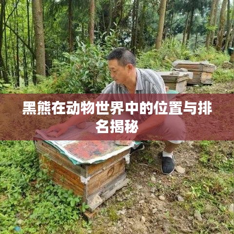 闭月羞花