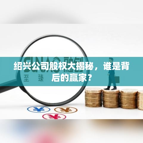 绍兴公司股权大揭秘，谁是背后的赢家？