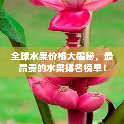 程门飞雪