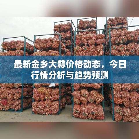 风度翩翩