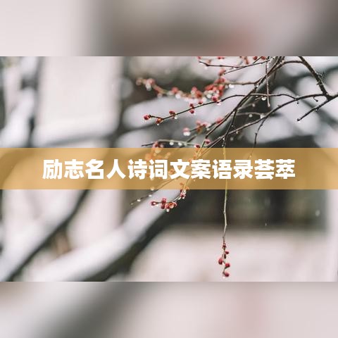 励志名人诗词文案语录荟萃