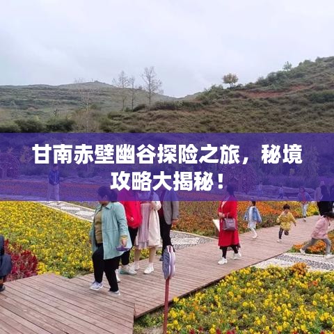 秀外慧中