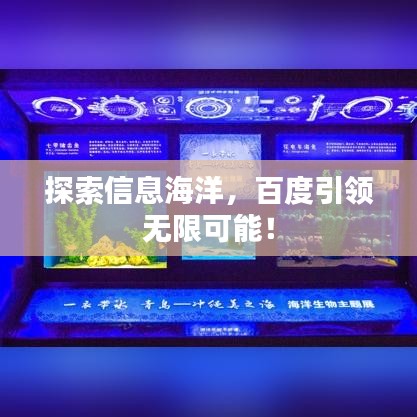 明夷于飞