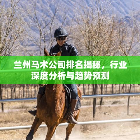 兰州马术公司排名揭秘，行业深度分析与趋势预测