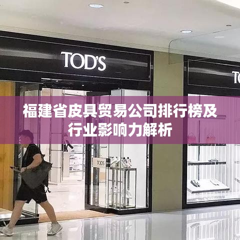 福建省皮具贸易公司排行榜及行业影响力解析