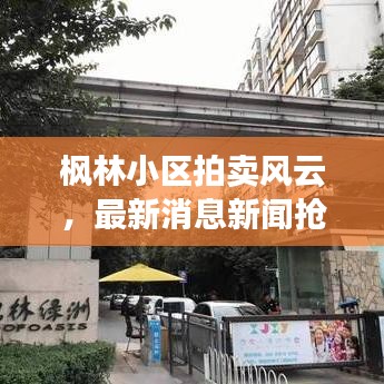 枫林小区拍卖风云，最新消息新闻抢先看