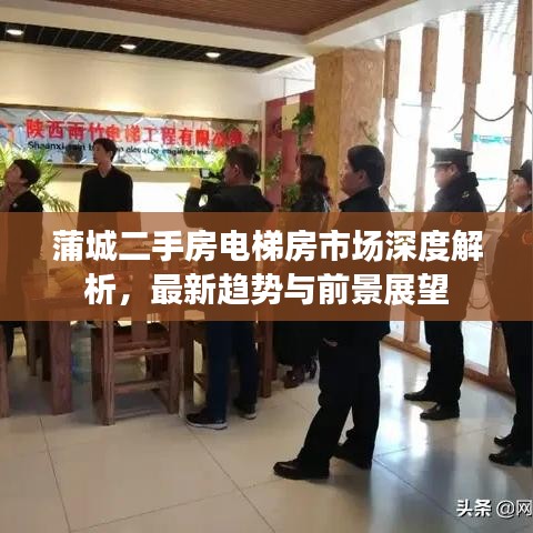 蒲城二手房电梯房市场深度解析，最新趋势与前景展望