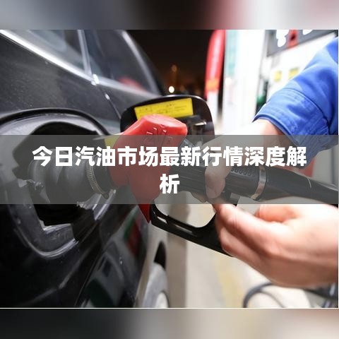 今日汽油市场最新行情深度解析