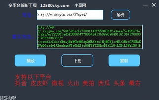 pilipili官方下载,实时数据解析 免费版_v9.943