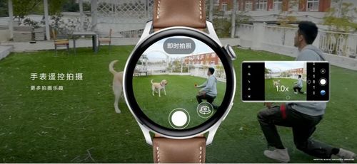 卡丁车 单机版同蛋蛋影音官方下载,灵活性方案解析-Harmony款_v9.999