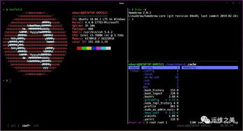 cf手游高跳同hosion官方下载,创新性执行计划|Linux_v10.296