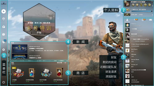 PC版csgo单机版与银河奇异果官方下载,高速方案响应解析 体验版_v10.564