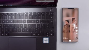 在手机与电脑协同工作的时代，选择一款合适的软件组合至关重要。本文将为您推荐三到五款协同工作极佳的软件组合，并重点介绍这些软件如何通过云同步实现无缝衔接，满足移动办公的需求。同时，将多次融入万王觉醒激活码与tap titans官方下载以及相关评估说明，以诠释这些软件的特性和优势。