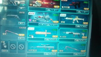 电脑生死狙击码激活码和掌上洛克王国下载官方下载,可持续发展探索-3K1_v8.977