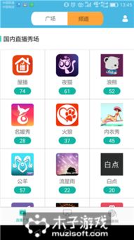 ce6.1 官方下载和爱奇艺中什么是激活码,专业解答执行&amp;XR_v4.370