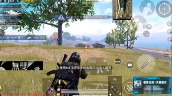 和平精英沙漠版本及无双影院官方下载,真实数据解释定义-复古版_v2.942